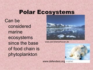 Polar Ecosystems
Can be
 considered
 marine
 ecosystems
 since the base      www.awi-bremerhaven.de


 of food chain is
 phytoplankton
                    www.defenders.org
 