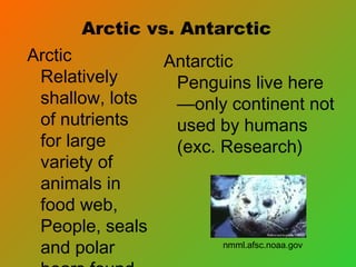 Arctic vs. Antarctic
Arctic         Antarctic
 Relatively     Penguins live here
 shallow, lots  —only continent not
 of nutrients   used by humans
 for large      (exc. Research)
 variety of
 animals in
 food web,
 People, seals
 and polar             nmml.afsc.noaa.gov
 