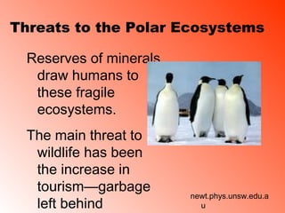 Threats to the Polar Ecosystems

  Reserves of minerals
   draw humans to
   these fragile
   ecosystems.
  The main threat to
   wildlife has been
   the increase in
   tourism—garbage
                         newt.phys.unsw.edu.a
   left behind             u
 