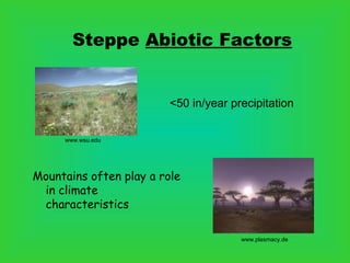 Steppe Abiotic Factors
www.plasmacy.de
www.wsu.edu
<50 in/year precipitation
Mountains often play a role
in climate
characteristics
 