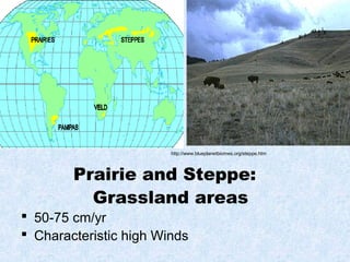 Prairie and Steppe:
Grassland areas
 50-75 cm/yr
 Characteristic high Winds
http://www.blueplanetbiomes.org/steppe.htm
 