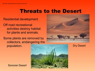 Threats to the Desert
Residential development
Off road recreational
activities destroy habitat
for plants and animals.
Some plants are removed by
collectors, endangering the
population.
Sonoran Desert
Dry Desert
http://www.blueplanetbiomes.org/world_biomes.htm
 