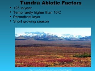 Tundra Abiotic Factors
 <25 in/year
 Temp rarely higher than 100
C
 Permafrost layer
 Short growing season
http://www.cotf.edu/ete/modules/msese/earthsysflr/taiga.html
 