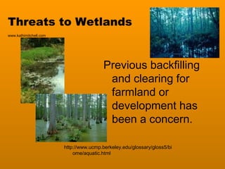 Threats to Wetlands
Previous backfilling
and clearing for
farmland or
development has
been a concern.
www.kathimitchell.com
http://www.ucmp.berkeley.edu/glossary/gloss5/bi
ome/aquatic.html
 