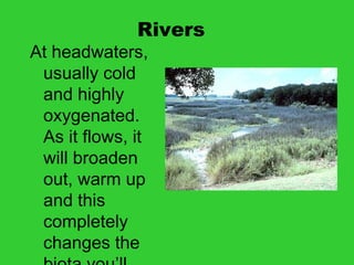 Rivers
At headwaters,
usually cold
and highly
oxygenated.
As it flows, it
will broaden
out, warm up
and this
completely
changes the
 