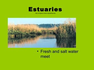 Estuarieshttp://mbgnet.mobot.org/salt/sandy/
• Fresh and salt water
meet
 