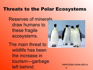 Threats to the Polar Ecosystems
Reserves of minerals
draw humans to
these fragile
ecosystems.
The main threat to
wildlife has been
the increase in
tourism—garbage
left behind
newt.phys.unsw.edu.a
u
 