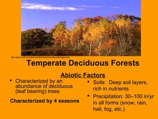  Characterized by an
abundance of deciduous
(leaf bearing) trees
Characterized by 4 seasons
 Soils: Deep soil layers,
rich in nutrients
 Precipitation: 30–100 in/yr
in all forms (snow, rain,
hail, fog, etc.)
Temperate Deciduous Forests
Abiotic Factors
http://www.cotf.edu/ete/modules/msese/earthsysflr/taiga.html
 