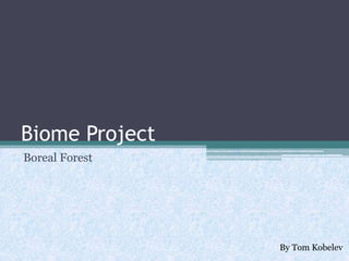 Biome Project
Boreal Forest

By Tom Kobelev

 