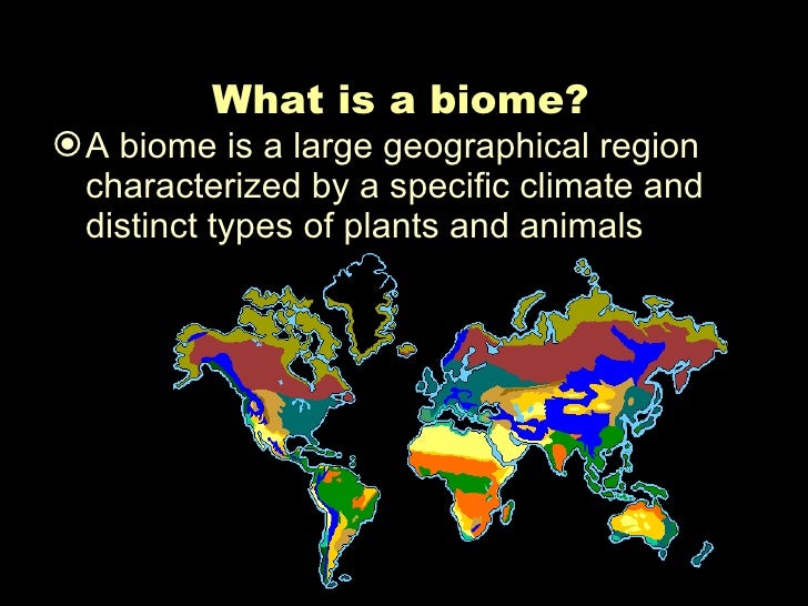 Biom File Was Ist Ein Biom | Biom: Was ist das, Eigenschaften, Wichtigkeit und ...