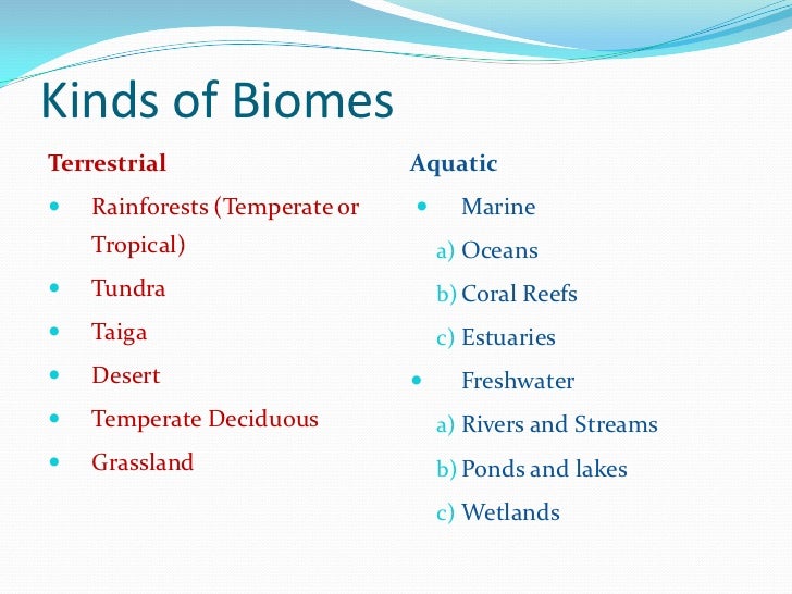 What are aquatic biomes?