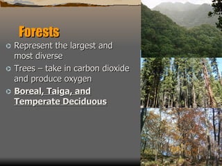 Forests Represent the largest and most diverse Trees – take in carbon dioxide and produce oxygen Boreal, Taiga, and Temperate Deciduous 