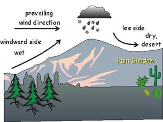 Rain Shadow 
