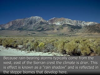 Because rain-bearing storms typically come from the west, east of the Sierran crest the climate is drier. This is effect is known as a "rain shadow" and is reflected in the steppe biomes that develop here.   