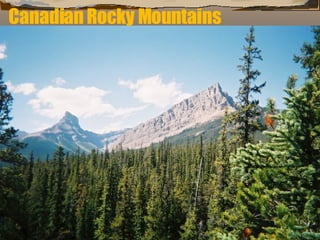 Canadian Rocky Mountains 