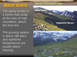 Alpine tundra   The alpine tundra is a biome that exists at the tops of high mountains, above the tree line. The growing season is about 180 days, and nighttime temperatures are usually below freezing.   Rocky Mountain high 