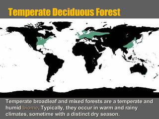 Temperate Deciduous Forest Temperate broadleaf and mixed forests are a temperate and humid  biome . Typically, they occur in warm and rainy climates, sometime with a distinct dry season. 