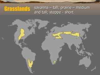 Grasslands savanna – tall; prairie – medium and tall; steppe - short 