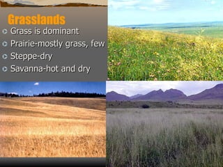 Grasslands Grass is dominant Prairie-mostly grass, few trees Steppe-dry Savanna-hot and dry  