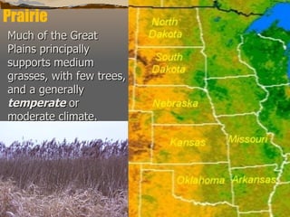 Prairie Much of the Great Plains principally supports medium grasses, with few trees, and a generally  temperate  or moderate climate.   