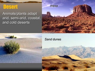 Desert Animals/plants adapt arid, semi-arid, coastal, and cold deserts mesa Sand dunes 