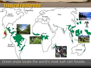 Green areas locate the world’s most lush rain forests. Tropical rainforests 
