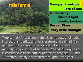 rain forest Tropical rain forests are mainly the product of climatic interactions, particularly temperature and rainfall. In general, tropical rain forests occur where a mean monthly temperature of between 20 and 28 degrees C is combined with an annual rainfall of between 1.5 and 10 metres, evenly distributed throughout the year.  