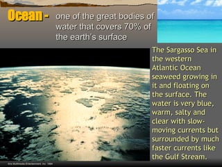 Ocean - The Sargasso Sea in the western Atlantic Ocean seaweed growing in it and floating on the surface. The water is very blue, warm, salty and clear with slow-moving currents but surrounded by much faster currents like the Gulf Stream.   one of the great bodies of water that covers 70% of the earth’s surface Aris Multimedia Entertainment, Inc. 1994 