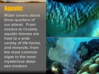 Aquatic Water covers about three quarters of our planet.  From oceans to rivulets, aquatic biomes are host to a wide variety of life-forms, and minerals, from the most common algae to the most mysterious deep-sea creature.   