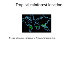 Tropical rainforest location
Tropical rainforests are located in Africa, America and Asia.
 