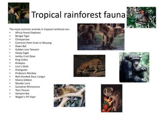 Tropical rainforest fauna
The most common animals in tropical rainforest are:
• Africa Forest Elephant
• Bengal Tiger
• Chimpanzee
• Common Palm Civet or Musang
• Dawn Bat
• Golden Lion Tamarin
• Harpy Eagle
• Jambu Fruit Dove
• King Cobra
• Kinkajou
• Linn's Sloth
• Orangutan
• Proboscis Monkey
• Red-shanked Douc Langur
• Silvery Gibbon
• Slender Loris
• Sumatran Rhinoceros
• Toco Toucan
• Vampire Bat
• Wagler's Pit Viper
 