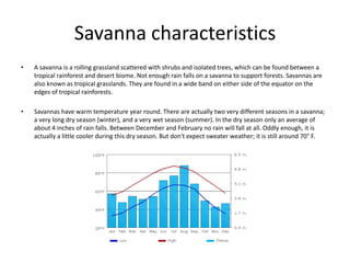 Savanna characteristics
• A savanna is a rolling grassland scattered with shrubs and isolated trees, which can be found between a
tropical rainforest and desert biome. Not enough rain falls on a savanna to support forests. Savannas are
also known as tropical grasslands. They are found in a wide band on either side of the equator on the
edges of tropical rainforests.
• Savannas have warm temperature year round. There are actually two very different seasons in a savanna;
a very long dry season (winter), and a very wet season (summer). In the dry season only an average of
about 4 inches of rain falls. Between December and February no rain will fall at all. Oddly enough, it is
actually a little cooler during this dry season. But don't expect sweater weather; it is still around 70° F.
 