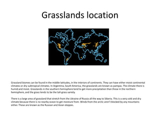 Grasslands location
Grassland biomes can be found in the middle latitudes, in the interiors of continents. They can have either moist continental
climates or dry subtropical climates. In Argentina, South America, the grasslands are known as pampas. The climate there is
humid and moist. Grasslands in the southern hemisphere tend to get more precipitation than those in the northern
hemisphere, and the grass tends to be the tall-grass variety.
There is a large area of grassland that stretch from the Ukraine of Russia all the way to Siberia. This is a very cold and dry
climate because there is no nearby ocean to get moisture from. Winds from the arctic aren't blocked by any mountains
either. These are known as the Russian and Asian steppes.
 