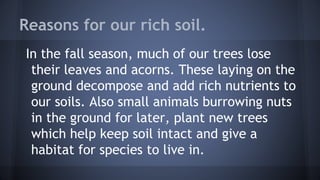 Reasons for our rich soil.
In the fall season, much of our trees lose
their leaves and acorns. These laying on the
ground decompose and add rich nutrients to
our soils. Also small animals burrowing nuts
in the ground for later, plant new trees
which help keep soil intact and give a
habitat for species to live in.

 