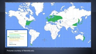 Pictures courtesy of Marietta.edu

 