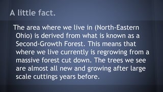 A little fact.
The area where we live in (North-Eastern
Ohio) is derived from what is known as a
Second-Growth Forest. This means that
where we live currently is regrowing from a
massive forest cut down. The trees we see
are almost all new and growing after large
scale cuttings years before.

 