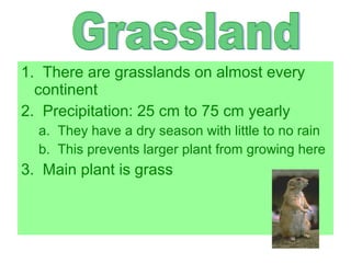 1. There are grasslands on almost every
continent
2. Precipitation: 25 cm to 75 cm yearly
a. They have a dry season with little to no rain
b. This prevents larger plant from growing here

3. Main plant is grass

 