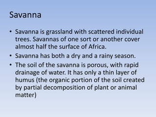 Savanna
• Savanna is grassland with scattered individual
trees. Savannas of one sort or another cover
almost half the surface of Africa.
• Savanna has both a dry and a rainy season.
• The soil of the savanna is porous, with rapid
drainage of water. It has only a thin layer of
humus (the organic portion of the soil created
by partial decomposition of plant or animal
matter)

 