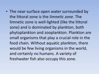 • The near-surface open water surrounded by
the littoral zone is the limnetic zone. The
limnetic zone is well-lighted (like the littoral
zone) and is dominated by plankton, both
phytoplankton and zooplankton. Plankton are
small organisms that play a crucial role in the
food chain. Without aquatic plankton, there
would be few living organisms in the world,
and certainly no humans. A variety of
freshwater fish also occupy this zone.

 