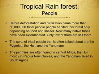 Tropical Rain forest:
People
 Before deforestation and civilization came more than
50,000,000 tribal people people habited this forest only
depending on food and shelter. Now many native tribes
have been exterminated. Only few of them are still there.
 The sorts of tribal people that is often talked about are the
Pygmies, the Huli, and the Yanomami.
 The pygmies are often found in central Africa, the Huli
mostly in Papua New Guniea, and the Yanomami lived in
South Agrica
 