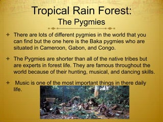 Tropical Rain Forest:
The Pygmies
 There are lots of different pygmies in the world that you
can find but the one here is the Baka pygmies who are
situated in Cameroon, Gabon, and Congo.
 The Pygmies are shorter than all of the native tribes but
are experts in forest life. They are famous throughout the
world because of their hunting, musical, and dancing skills.
 Music is one of the most important things in there daily
life.
 