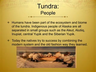 Tundra:
People
 Humans have been part of the ecosystem and biome
of the tundra. Indigenous people of Alaska are all
separated in small groups such as the Aleut, Alutiiq,
Inupiat, central Yupik and the Siberian Yupik.
 Today the natives try to success by combining the
modern system and the old fashion way they learned.
 