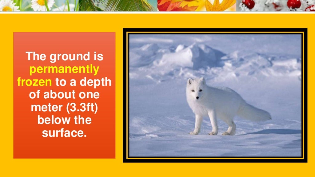 Kinds of Terrestrial Biome