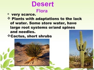  very scarce.
 Plants with adaptations to the lack
of water. Some store water, have
large root systems or/and spines
and needles.
Cactus, short shrubs
 