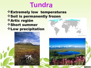 Extremely low temperaturas
Soil is permanently frozen
Artic región
Short summer
Low precipitation
 