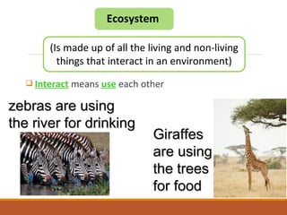  Interact means use each other
Ecosystem
(Is made up of all the living and non-living
things that interact in an environment)
zebras are usingzebras are using
the river for drinkingthe river for drinking
GiraffesGiraffes
are usingare using
the treesthe trees
for foodfor food