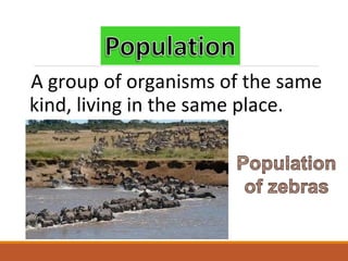 A group of organisms of the same
kind, living in the same place.