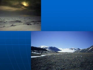 Powerpoint On Biomes Biomes.ppt