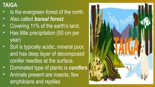 TAIGA
• Is the evergreen forest of the north.
• Also called boreal forest.
• Covering 11% of the earth’s land.
• Has little precipitation (50 cm per
year)
• Soil is typically acidic, mineral poor,
and has deep layer of decomposed
conifer needles at the surface.
• Dominated type of plants is conifers
• Animals present are insects, few
amphibians and reptiles
 