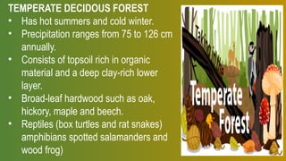 TEMPERATE DECIDOUS FOREST
• Has hot summers and cold winter.
• Precipitation ranges from 75 to 126 cm
annually.
• Consists of topsoil rich in organic
material and a deep clay-rich lower
layer.
• Broad-leaf hardwood such as oak,
hickory, maple and beech.
• Reptiles (box turtles and rat snakes)
amphibians spotted salamanders and
wood frog)
 